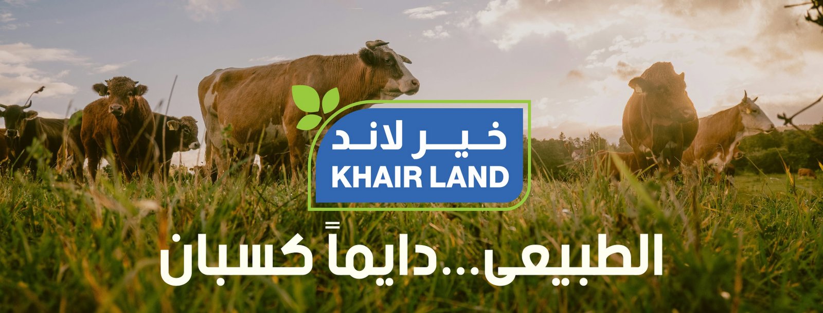 كسبان من خير لاند